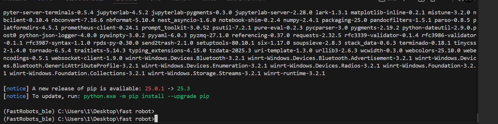 Python environment setup and package installation